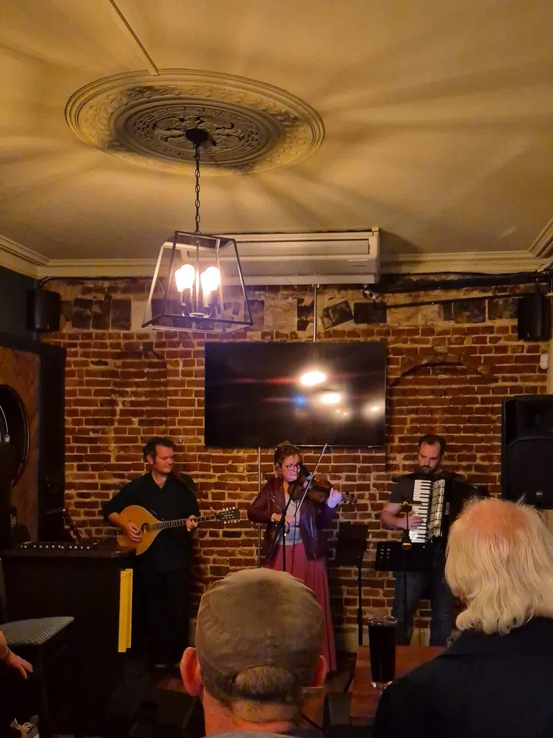 The band playing in a pub with a crowd watching