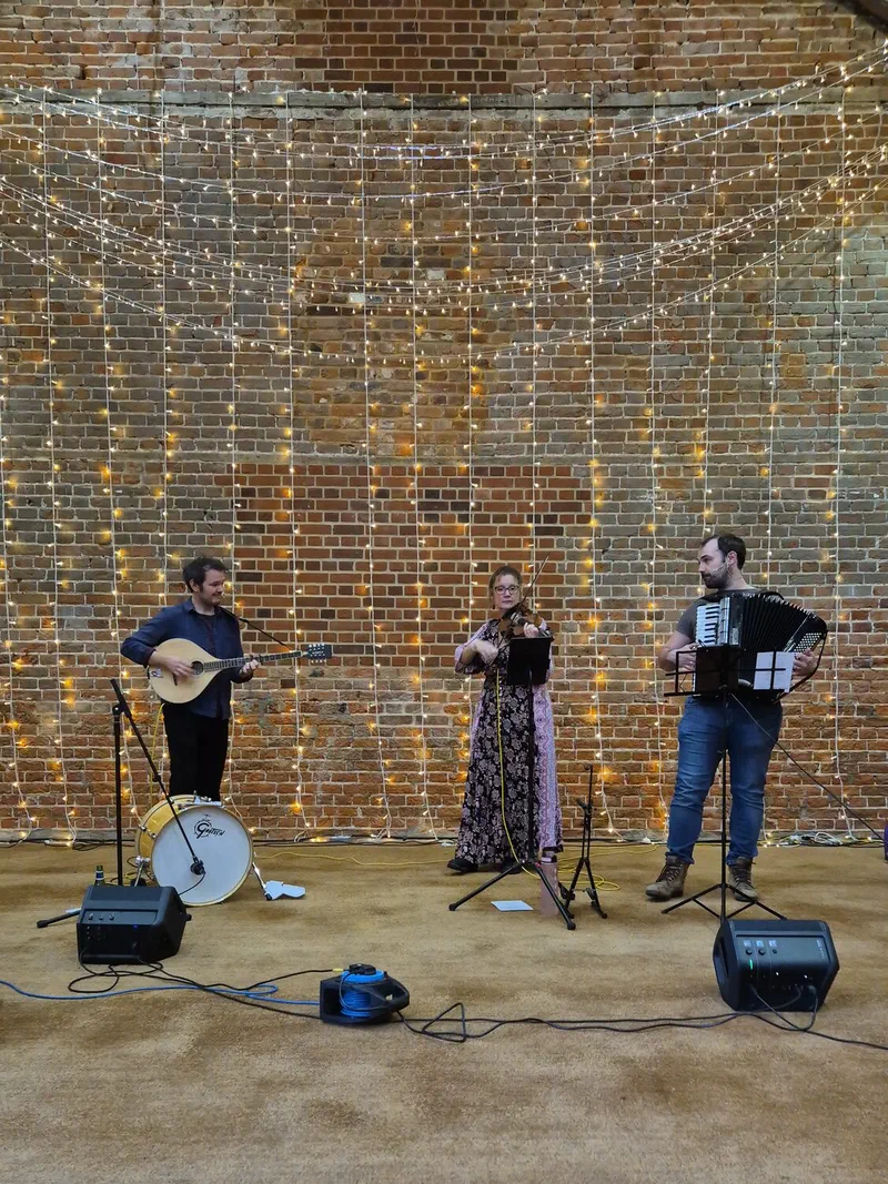 The band playing in front of a wall of fairy lights